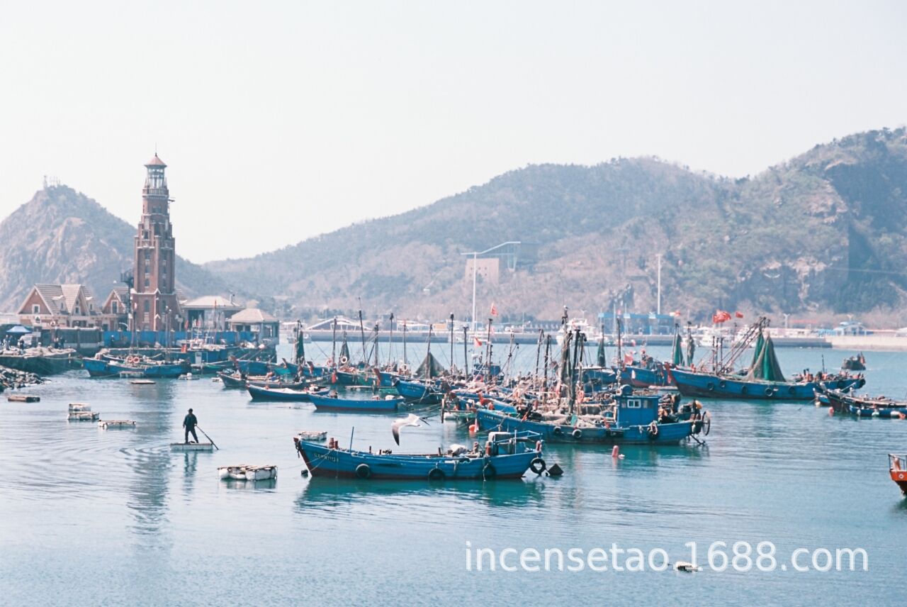 QQ图片20240722173850