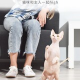 霍曼 Выдвижная деревянная ручка из углеродного волокна, колокольчик с перьями, палочка для поддразнивания кошек, устойчивая к укусам игрушка для кошек, фотоартефакт для самостоятельного удовольствия