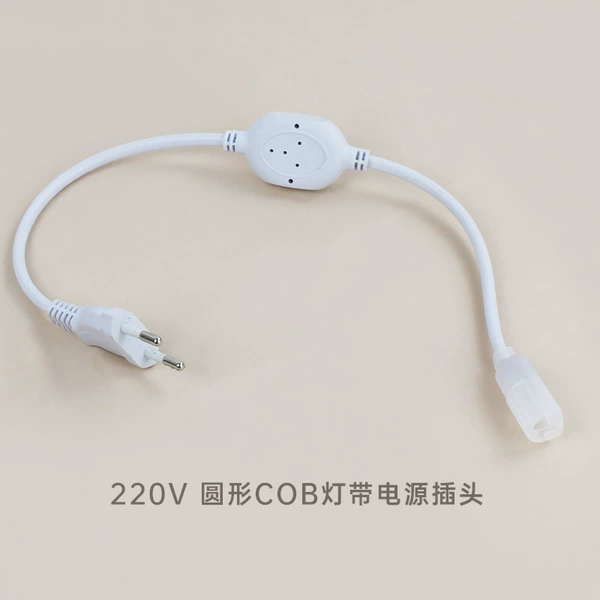 Power plug