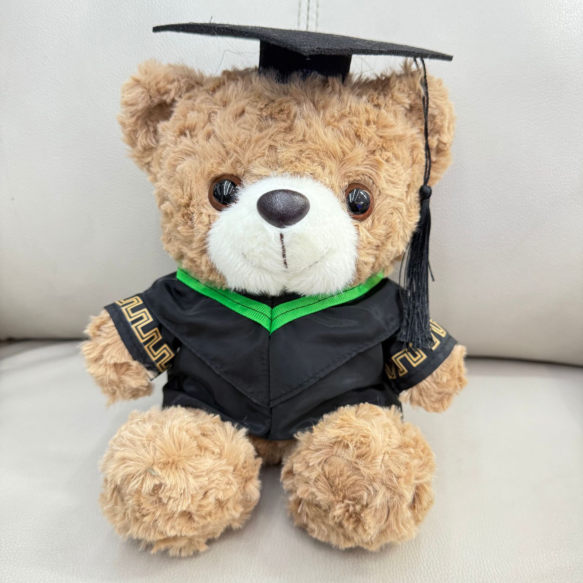 Graduación Teddy Bear Puppy Doctor Teddy Bear School Print logotipo regalo de graduación
