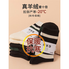 ��q���m����ʿ������Ͳ�m�̄����m��ů�LͲ������ë�ﶬ�L�m