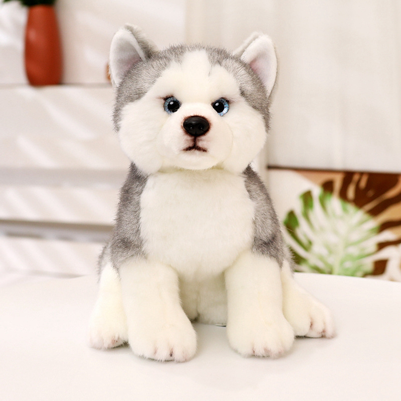 Simulación muñeca Husky juguetes de peluche sentados muñeca de perro muñeca de tela muñeca pequeña regalo para niños image 1