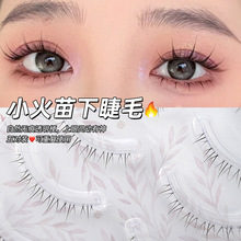 �������匦�bС�����½�ëһƬʽ͸������Ȼ����՚�������ٽ�ë