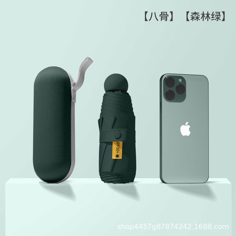 [8 본 캡슐 우산-모유 그린] + 핸드백