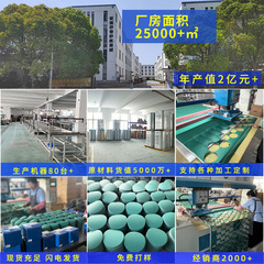 Wholesale disc dry sanding paper, polyester film car polishing water sanding paper, 5-inch green sand flocked sandpaper