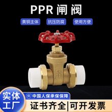 ��h�S�ҬF؛���l�ߜظ߉�PPR�p����S�~�l�y�����l�y���I�_�P�y