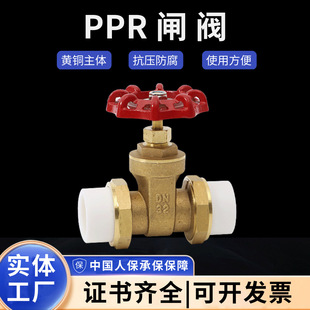 �S�ҬF؛�S�~�l�y�ߜظ߉��p���ppr�l�y�_�P�y�Tppr�����l�y