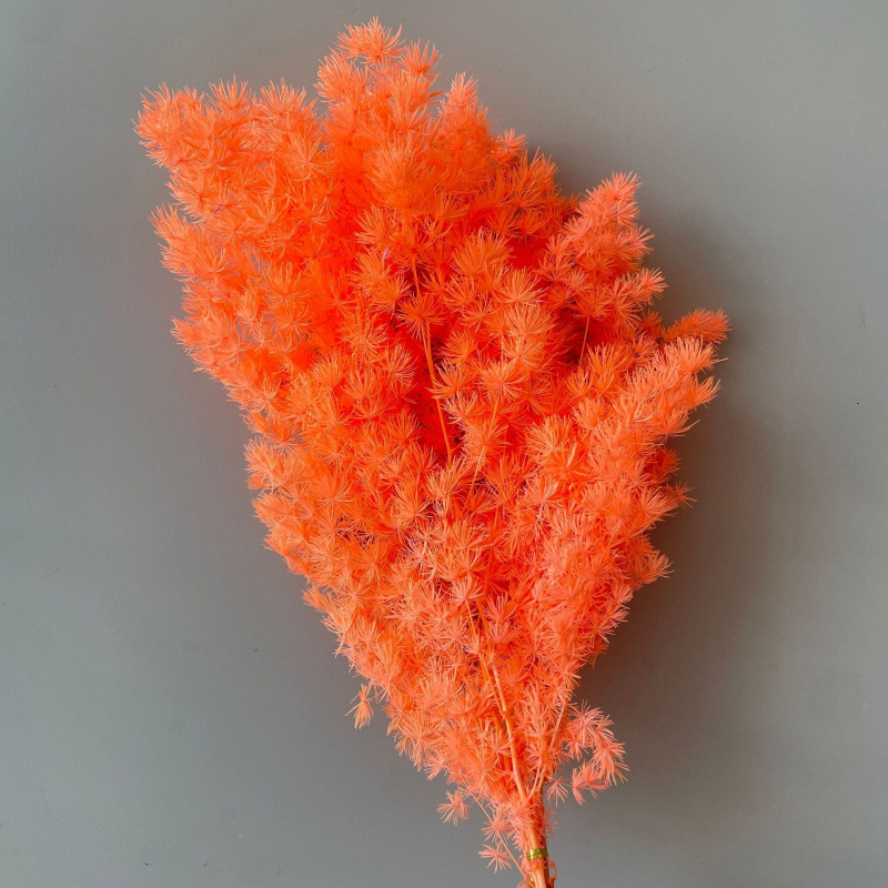 오렌지(85-105g)-드라이플라워백