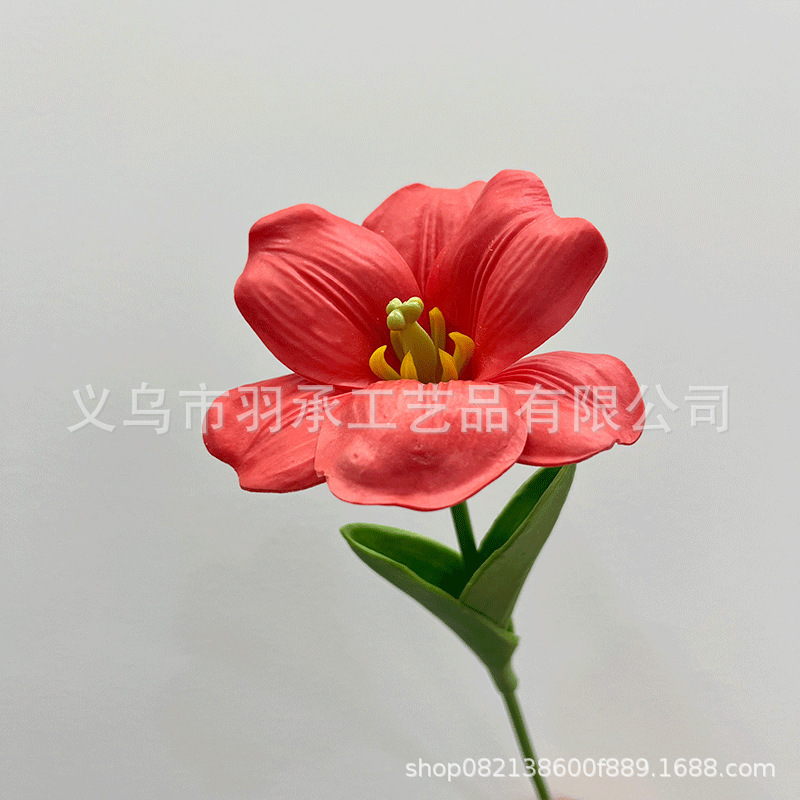 레드 35cm