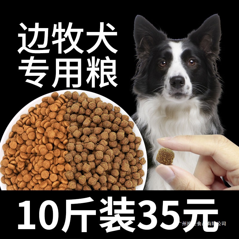 Border Collie-Specific Natural Dog Food for Puppies and Adult Dogs, Universal Type, Official Flagship Store Genuine Product, 5kg, 5kg Pack Border Collie-Specific Natural Dog Food for Puppies and Adult Dogs, Universal Type, Official Flagship Store Genuine Product, 5kg, 5kg Pack