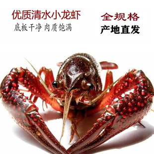 ������ˮС���r�r�����СȫҎ���r��С���r���l����ȫ�������l؛