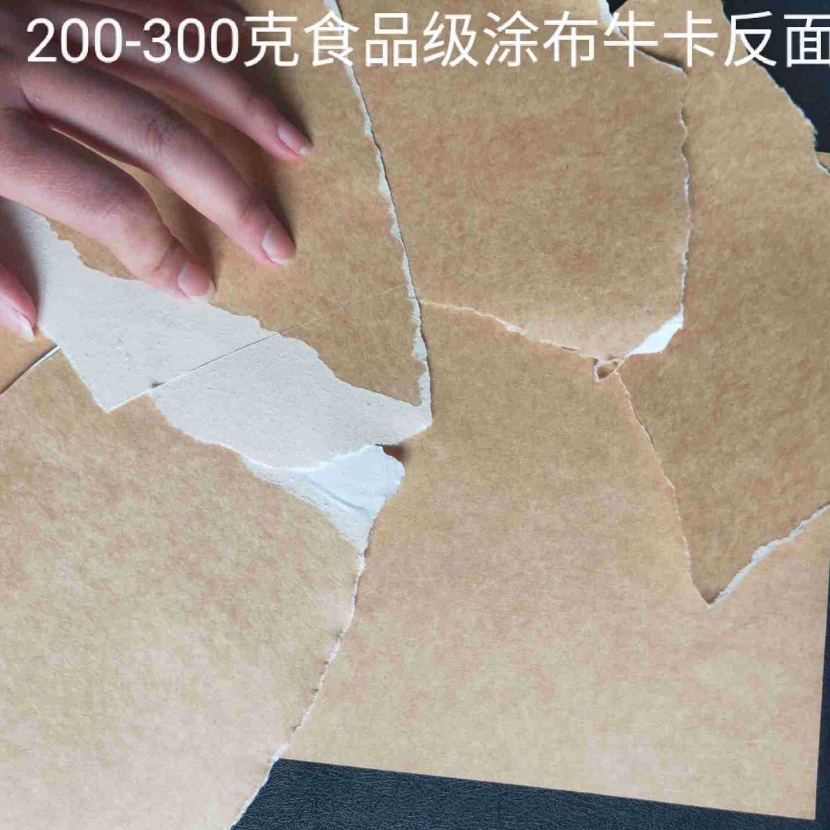 进口涂布牛卡纸120-480克
