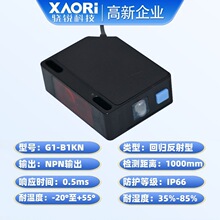 XAORI��JG1-B1KN�ؚw����t���늂�����NPNݔ���Б���