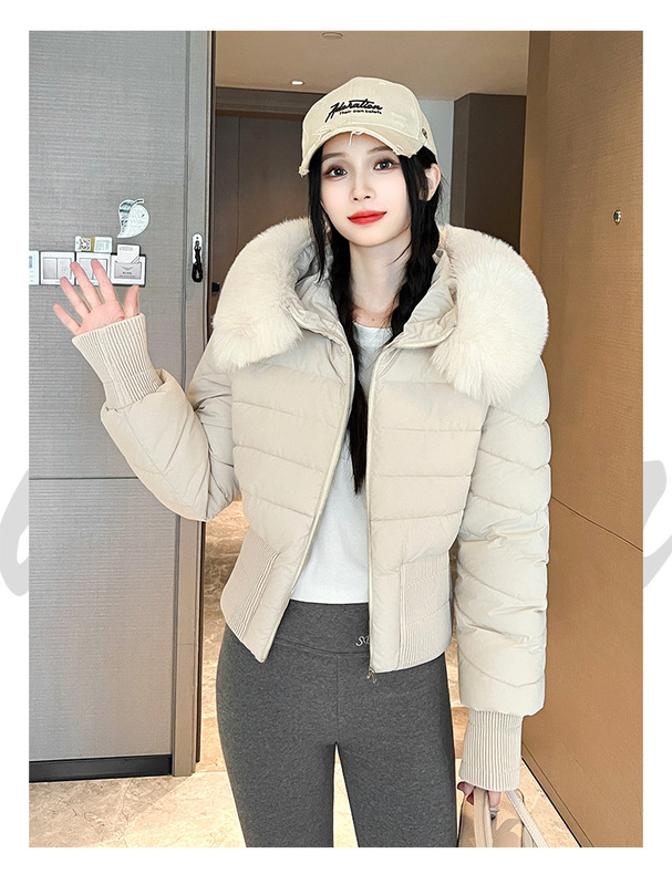 欧货棉袄冬季2025新款时尚设计收腰连帽羽绒棉服女小个子棉衣外套|undefined