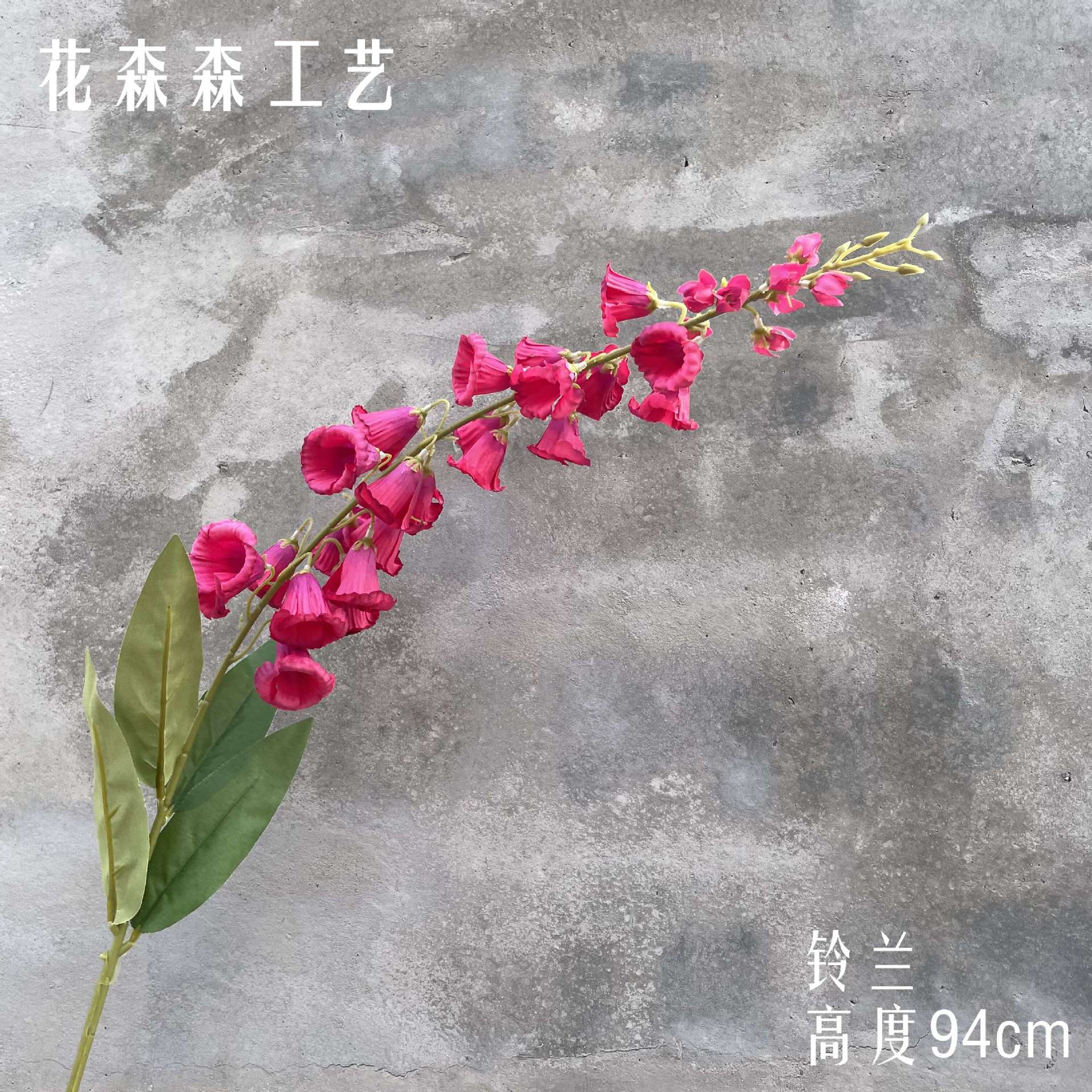 백합 계곡 110505