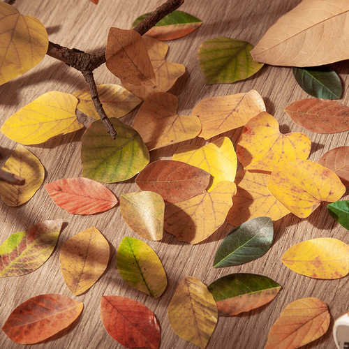 Good Day Tape Champs’ Fallen Leaves Series 8 Creative Plant Handbags DIY Decorative Stickers