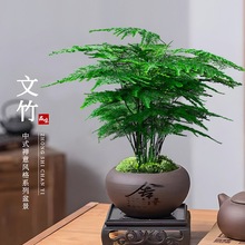 ��������ֲ���҃ȿ͏d��ʽ�U��΢�辰�k�����滨�܄�������С�Gֲ