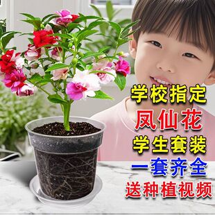 ͸�������^��ֲ����o���L���տ���ͯ�Nֲ�W���ƌW����P�ɻ��N��