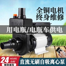直流自吸泵24v48v60v72v伏电动车抽水泵机离心泵大流量洒水车水泵