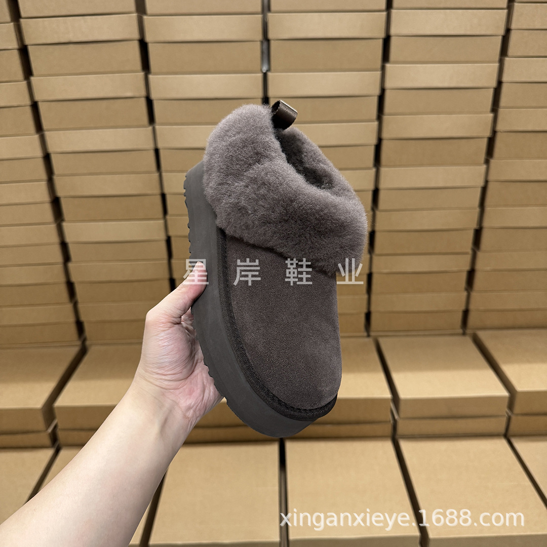 塔茨勒  新加颜色 (2).jpg