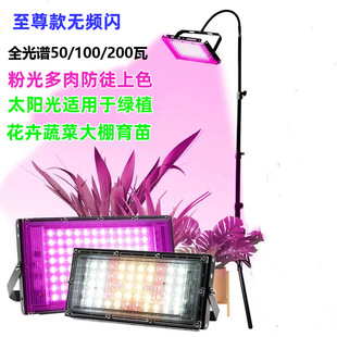 Solar Led Plant Grow Light for Succulents, Fish Tank Algae Bloom, Green Plants, Vegetables, Fruits, and Flowers