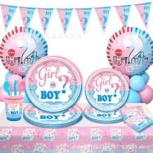 爆款男孩女孩双色主题派对一次性餐具纸盘套装派对生日用品装饰
