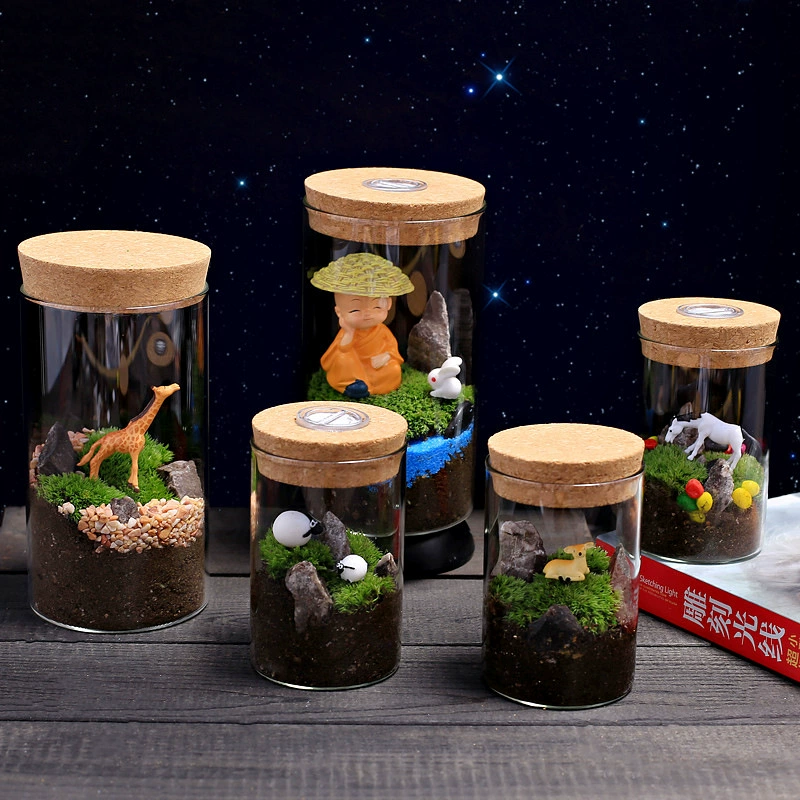 Прямая стеклянная бутылка мох микропейзаж DIY пакет материалов костюм теплое поле деятельность детский сад наблюдение за ростом растений