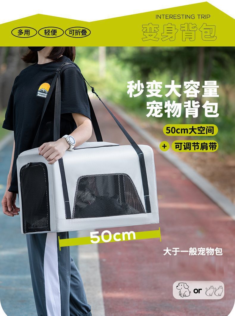 a9883f97-5b19-4a5c-87dc-a8db9077918b.jpe