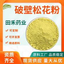 破壁松花粉99% 600目 松花粉生粉 马尾松花粉原料 田禾厂家现货