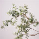 Simulation of high branches, golden branches, jade leaves, rattan branches, pastoral home decoration props, green simulation of plant floral flower arrangement