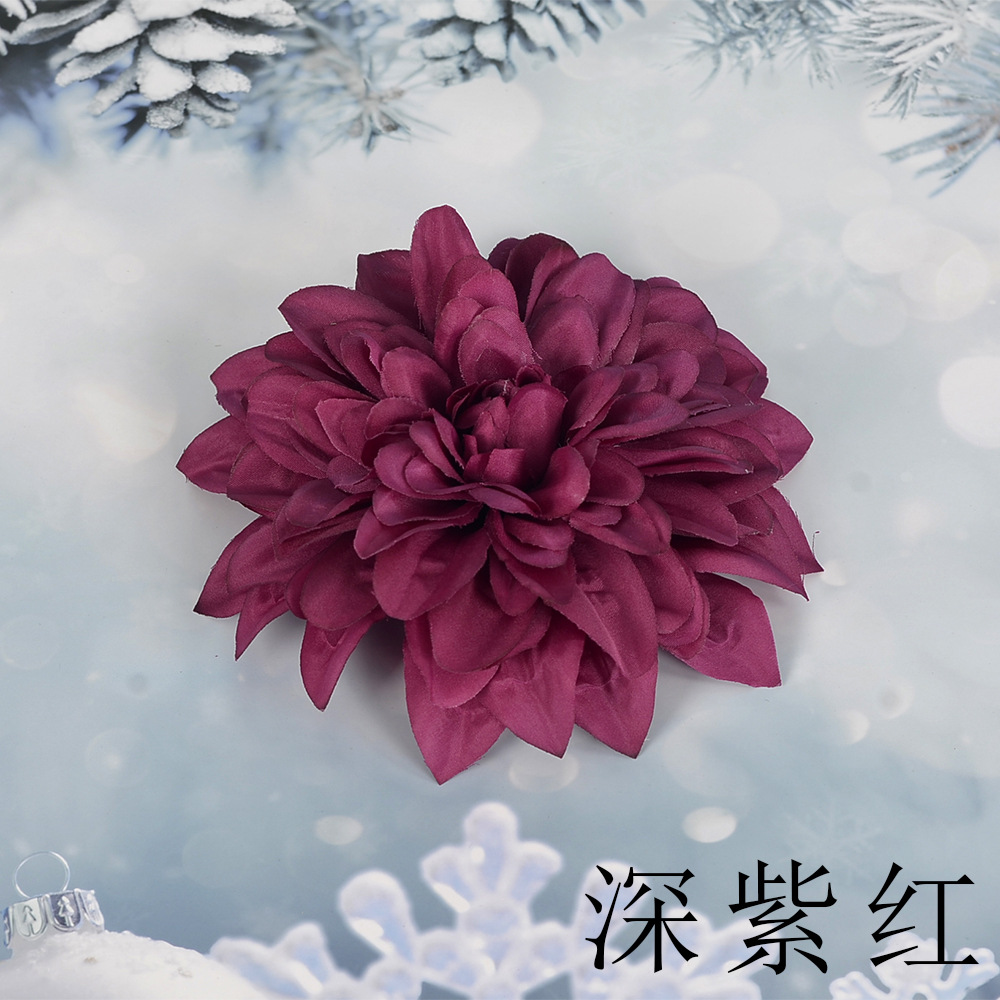 어두운 자줏빛 붉은 SL 큰 epiphyllum 꽃 머리