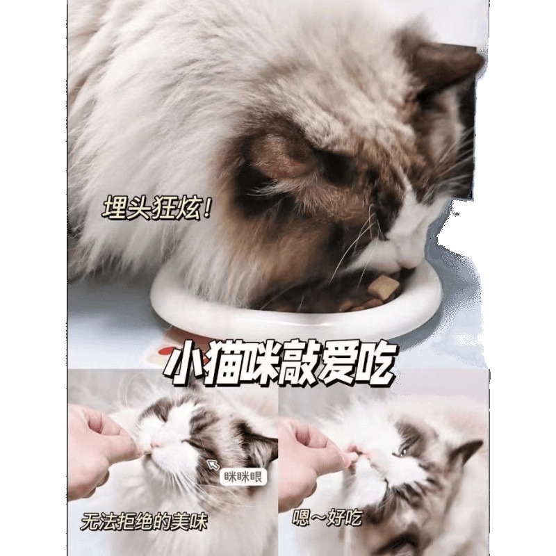 Gaoyejia バージョン 2.0 5kg/プロバイオティクス 5kg 種類の栄養肥育フリーズドライ子猫と成猫の全段階成猫用フード|undefined