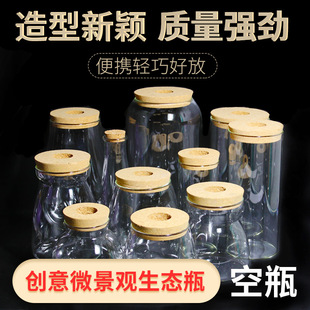 Ecological Bottle DIY Fish Micro-Landscape Ecological Ball Silicone DIY Design Vase Glass Fish Tank Office Desk Desktop Starry Sky