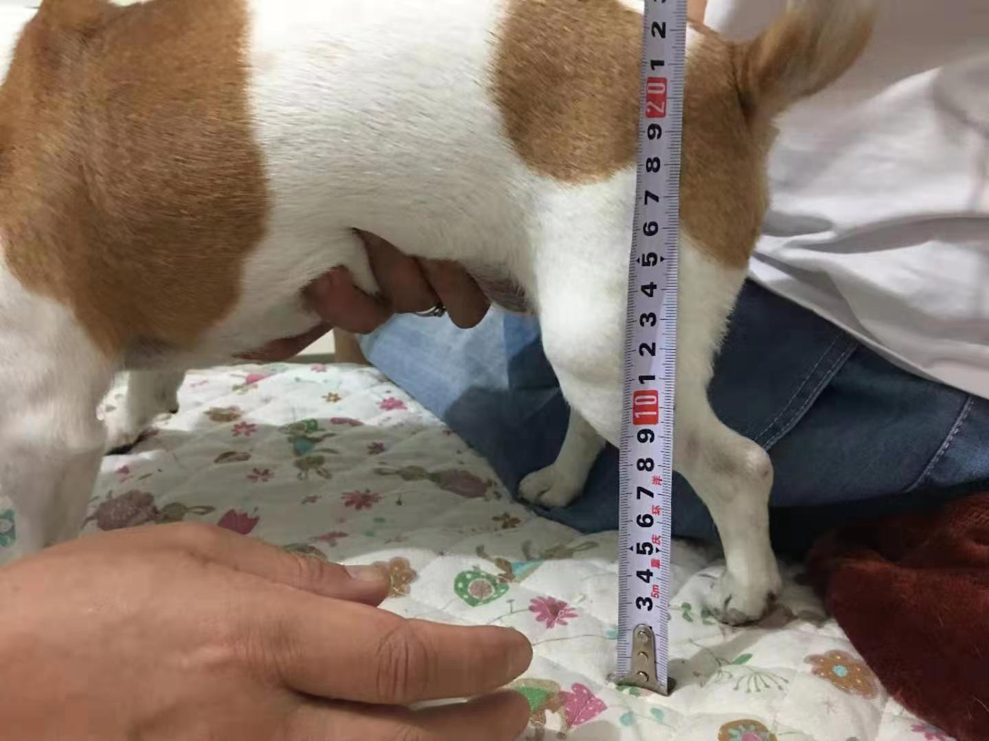 微信图片_20230518115528