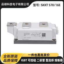 全新晶闸管 双向可控硅SKKT570-16E SKKT570-22E SKKT460-22 H4
