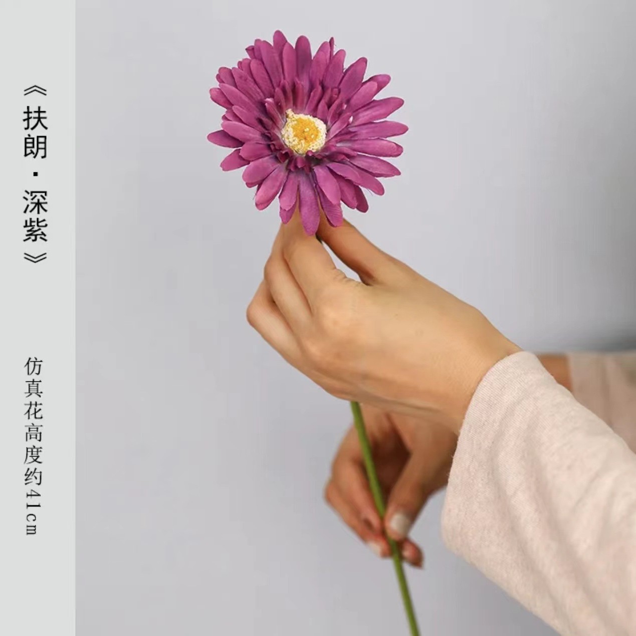 보라색 레드