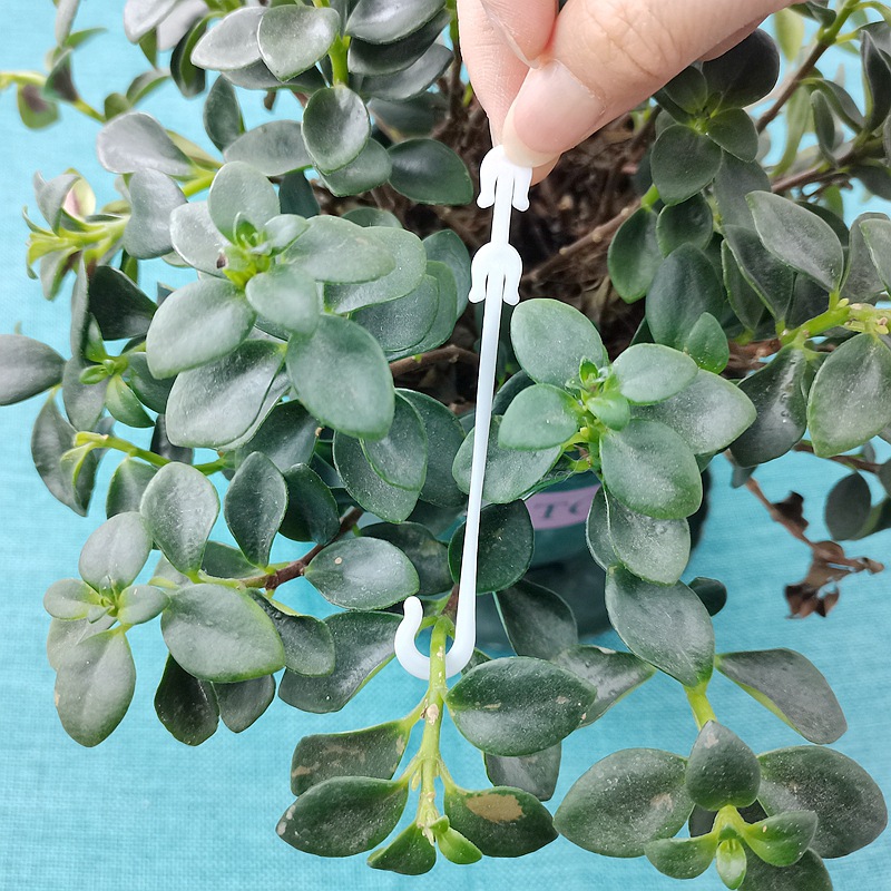 IMG_20230314_152509_副本_副本