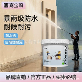 内墙涂料;木器涂料;防水涂料