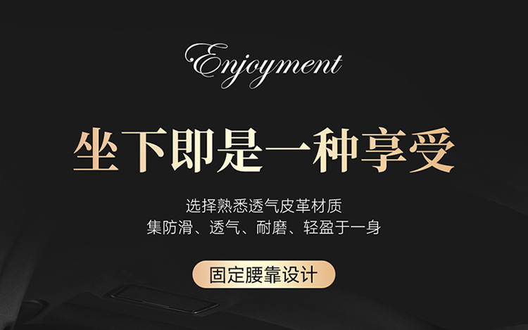 25 New Car Seat Cushions, Universal for All Seasons, Fully Surrounded by Nappa Leather Car Cushions, Five-Seater Car Cushions and Seat Covers for Drop Shipping