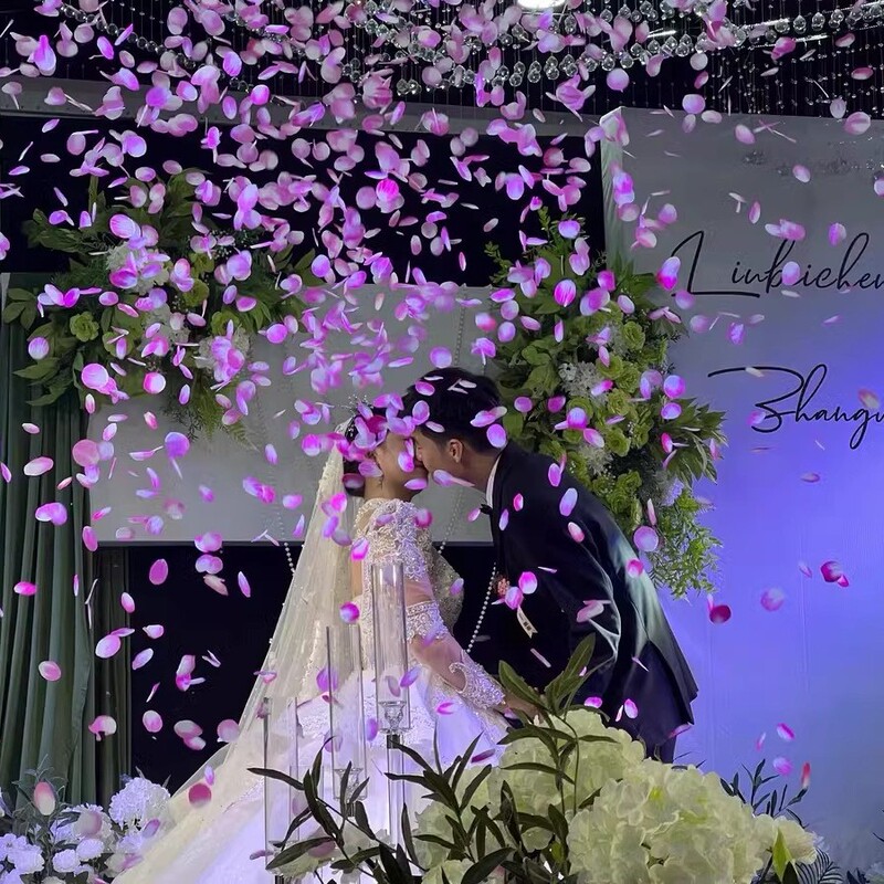 花瓣雨礼花筒拍照结婚礼炮婚礼手拧喷花筒接亲道具氛围直播间用品|undefined