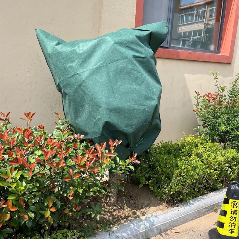 O1CN01oLVk6m2FTYEgjoZs1_!!3088