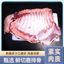 新鲜鹿排骨现切现发真是材料原切整排肉质紧实鲜内多汁