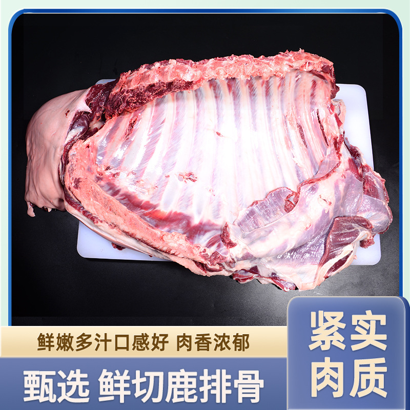 新鲜鹿排骨现切现发真是材料原切整排肉质紧实鲜内多汁