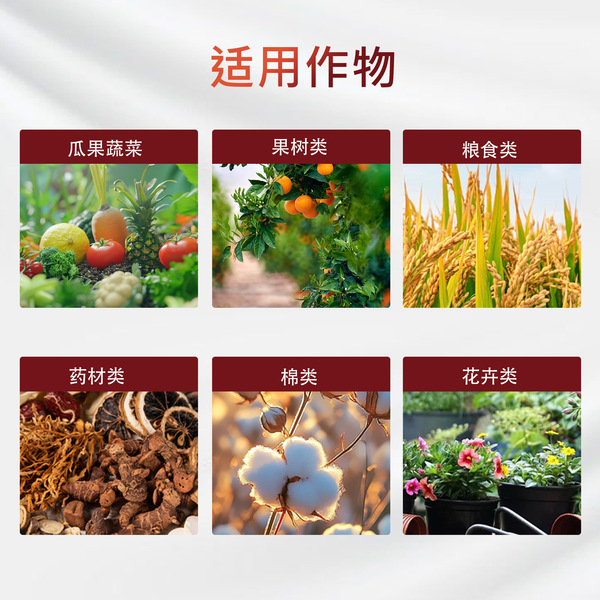 [Enhanced version] Rapid rooting powder for plant gardening