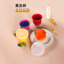 现货果冻布丁模型双皮奶制冷杯烘焙模具家用烘焙工具套装冰块制作