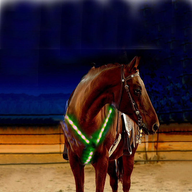 Outdoor horse harness equipment equestrian sports supplies USB…