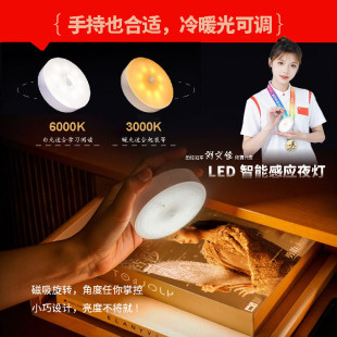 �������w�Б�Сҹ��LED��늴��^ҹ���ˁ��������߾���������ȟ�