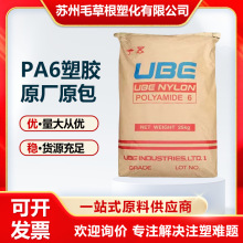 PA6ձ1013NW8 עܼȼӸgԸ߿_늾|