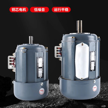 YY6332 JX6332-370W2800ת���ᾶ14MM�ߵ���220V��������ֻ�
