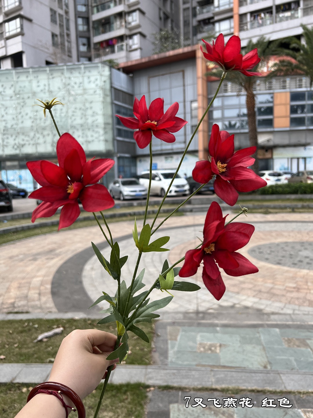레드